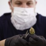 Производитель марихуаны Canopy Growth