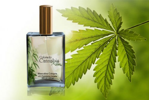 Cannabis Santal Eau de Parfum – это парфюмированная вода с нотками конопли