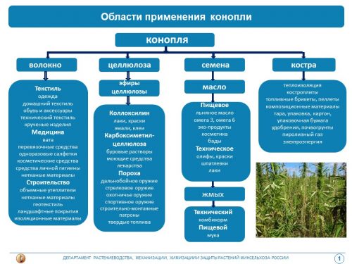 Области применения конопли