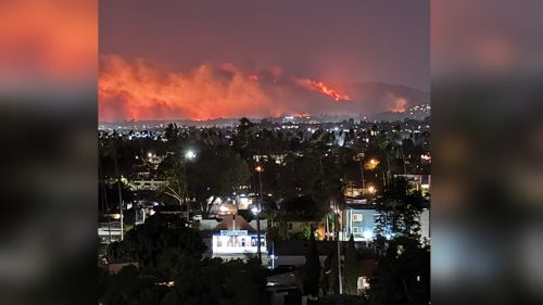 Лесные пожары в Калифорнии: угроза для бизнеса по производству каннабиса