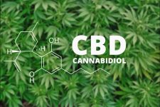 Разные способы применения CBD: как получить максимальную пользу от каннабидиола